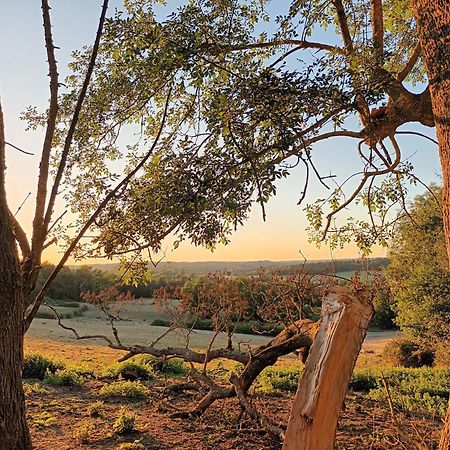 Lunas  Gite Aux Bois D'En Temps חדר תמונה