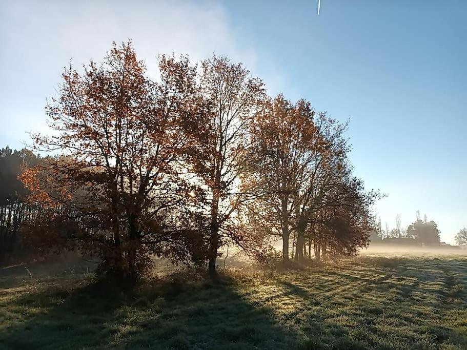 Lunas  Gite Aux Bois D'En Temps מראה חיצוני תמונה