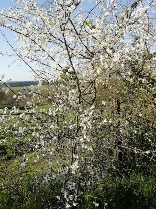 Lunas  Gite Aux Bois D'En Temps מראה חיצוני תמונה
