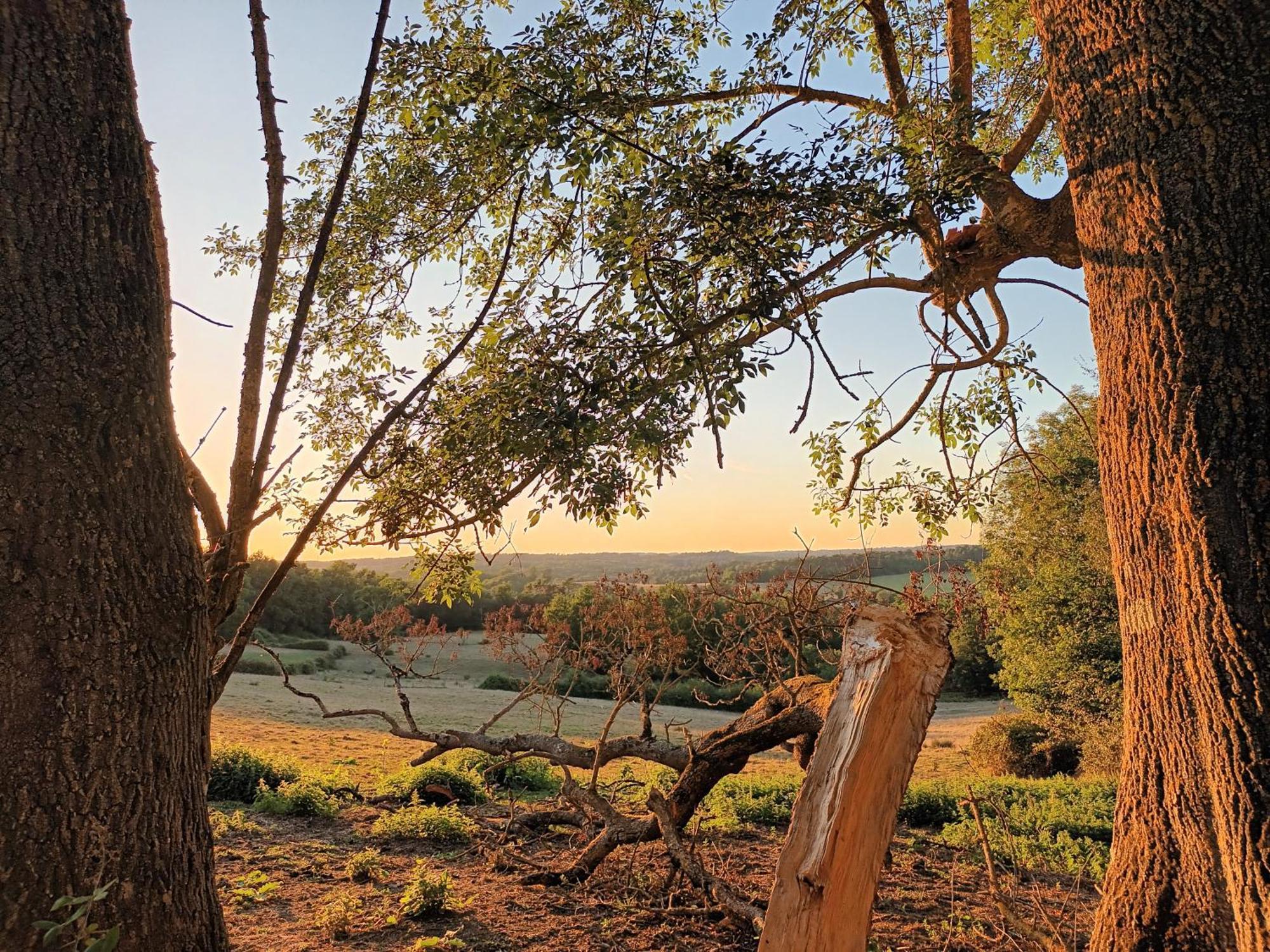Lunas  Gite Aux Bois D'En Temps חדר תמונה